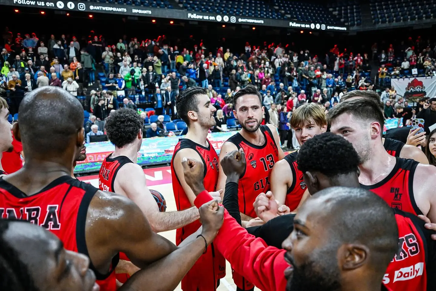 Anvers et Limburg United complètent le dernier carré de la coupe de Belgique